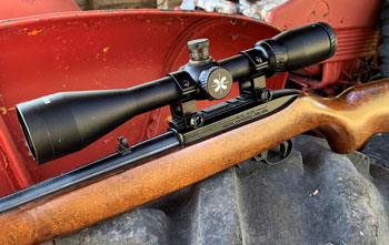 Ruger's venerable 10/22 carbine and the Axeon EDR